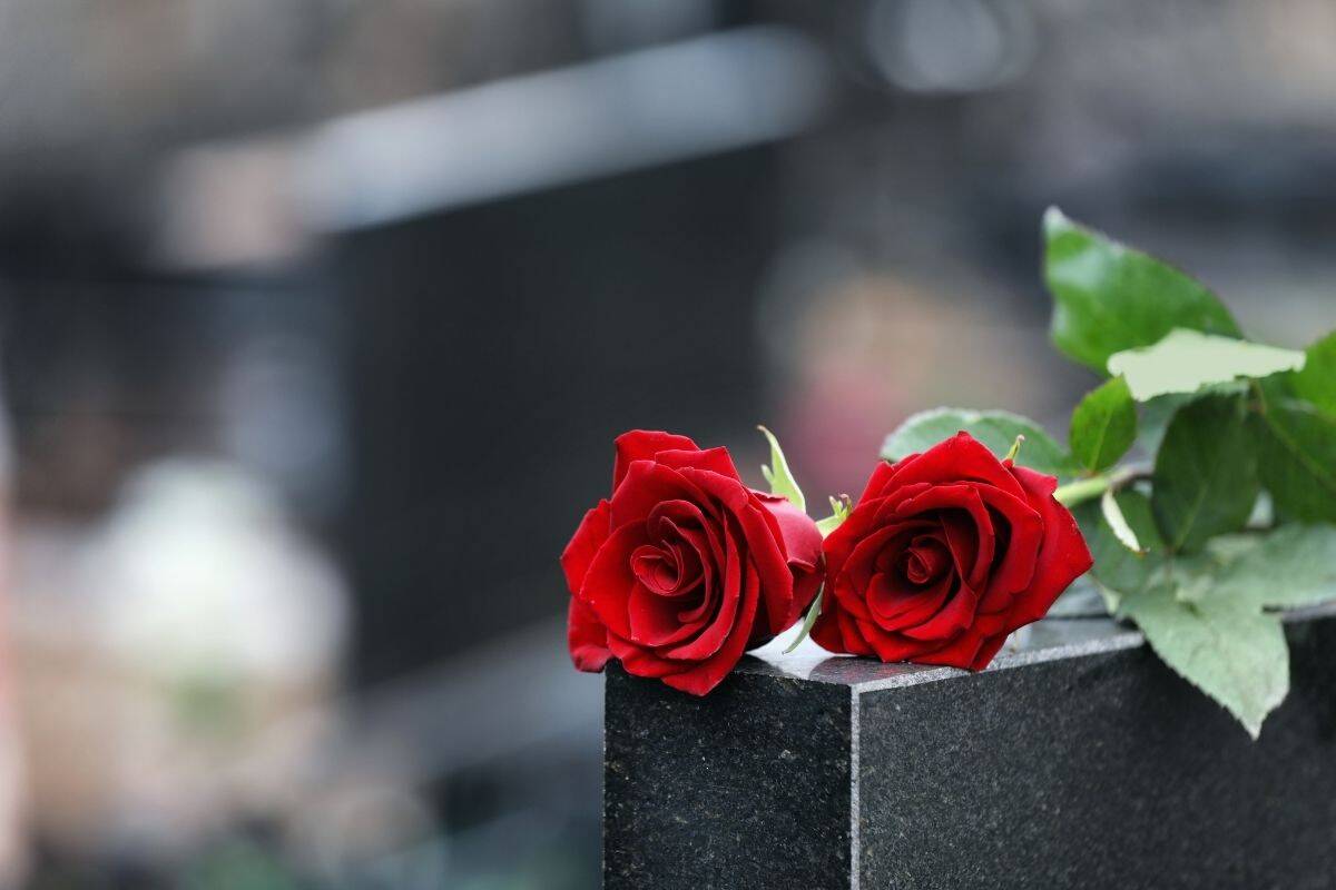 Rose on a gravestone