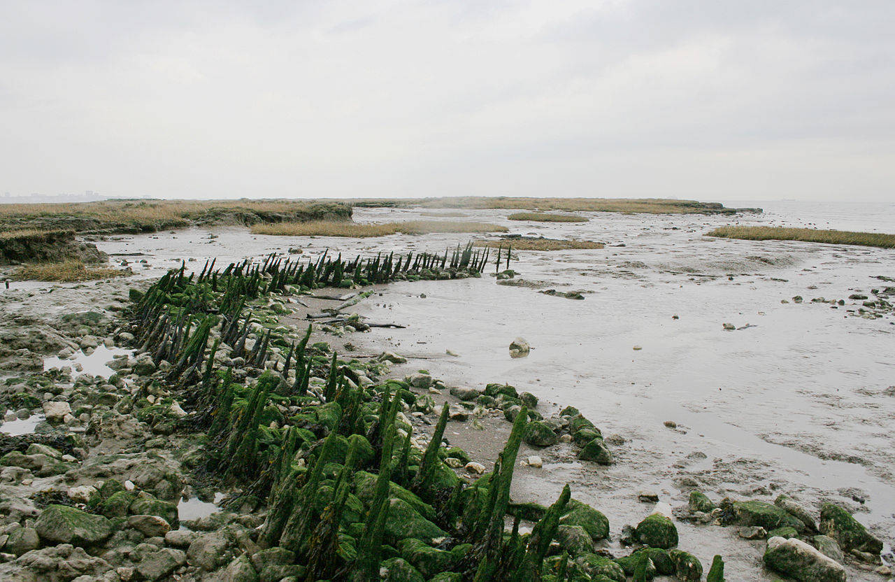 /www.aklander.co.uk/image/catalog/1280px-1623_seawall_remains_canvey_island