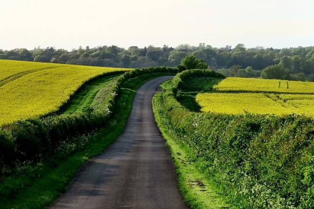 Rural road in Ireland
