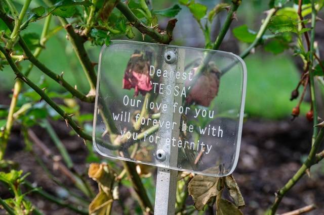 Glass memorial plaque at Peaceways pet crematorium