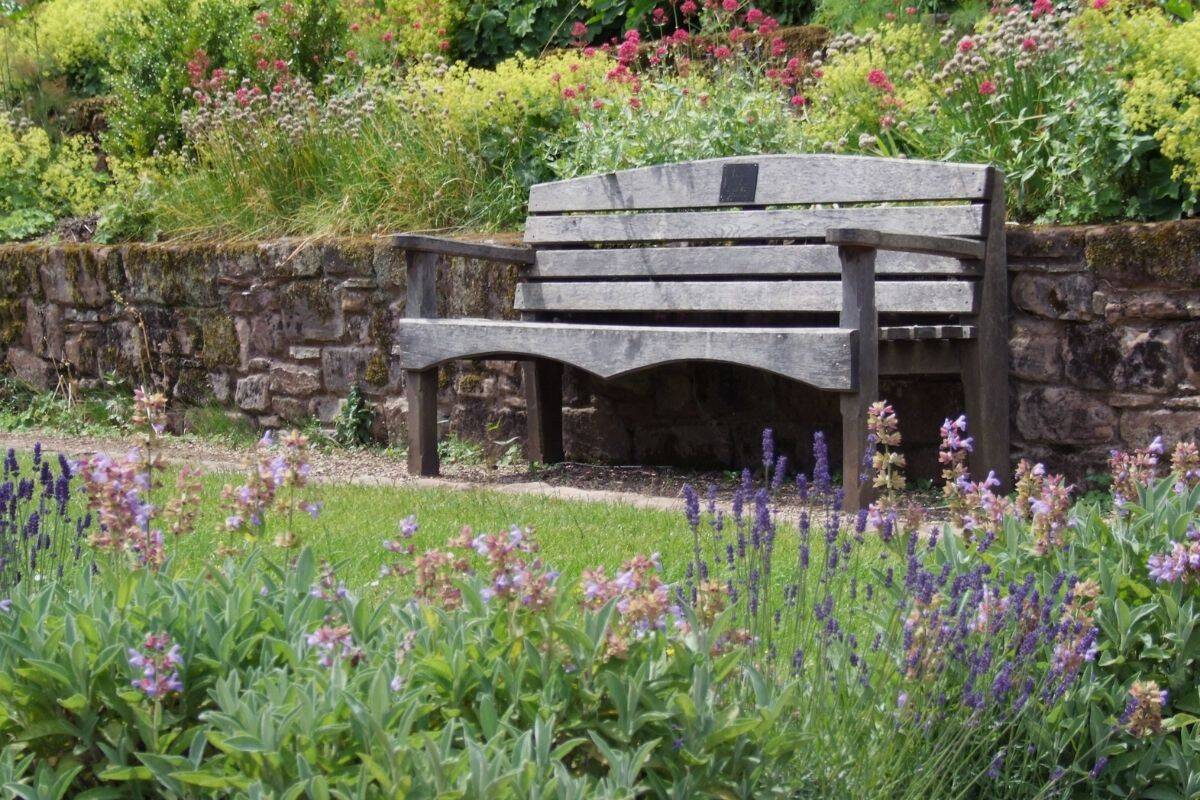 Bench in the park