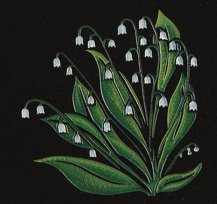 Lily Of The Valley