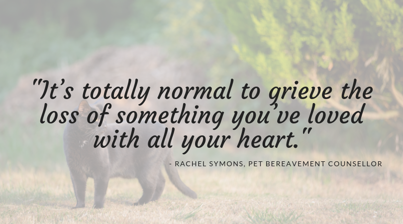 rachel symons pet bereavement counsellor