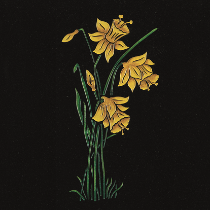 Daffodils