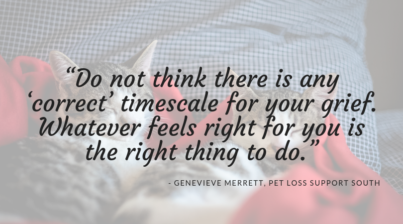 genevieve merrett pet loss support south