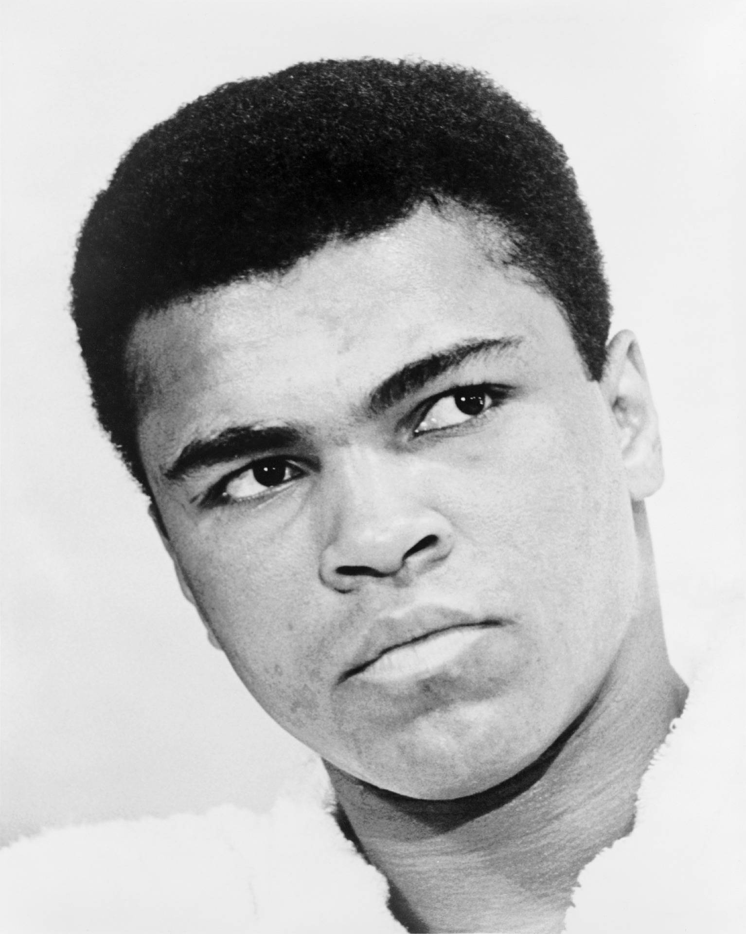 /www.aklander.co.uk/image/catalog/1 muhammad-ali-572571_1920