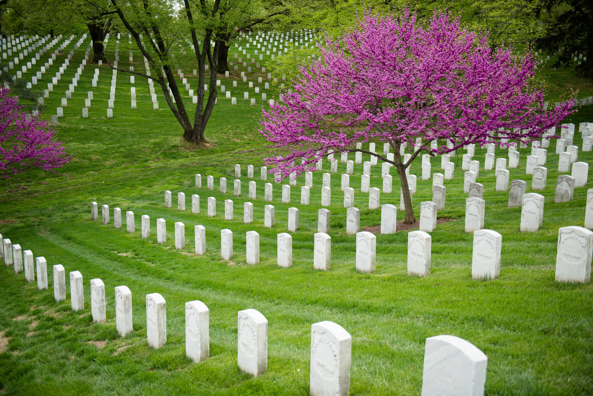 Arlington National Cemetery