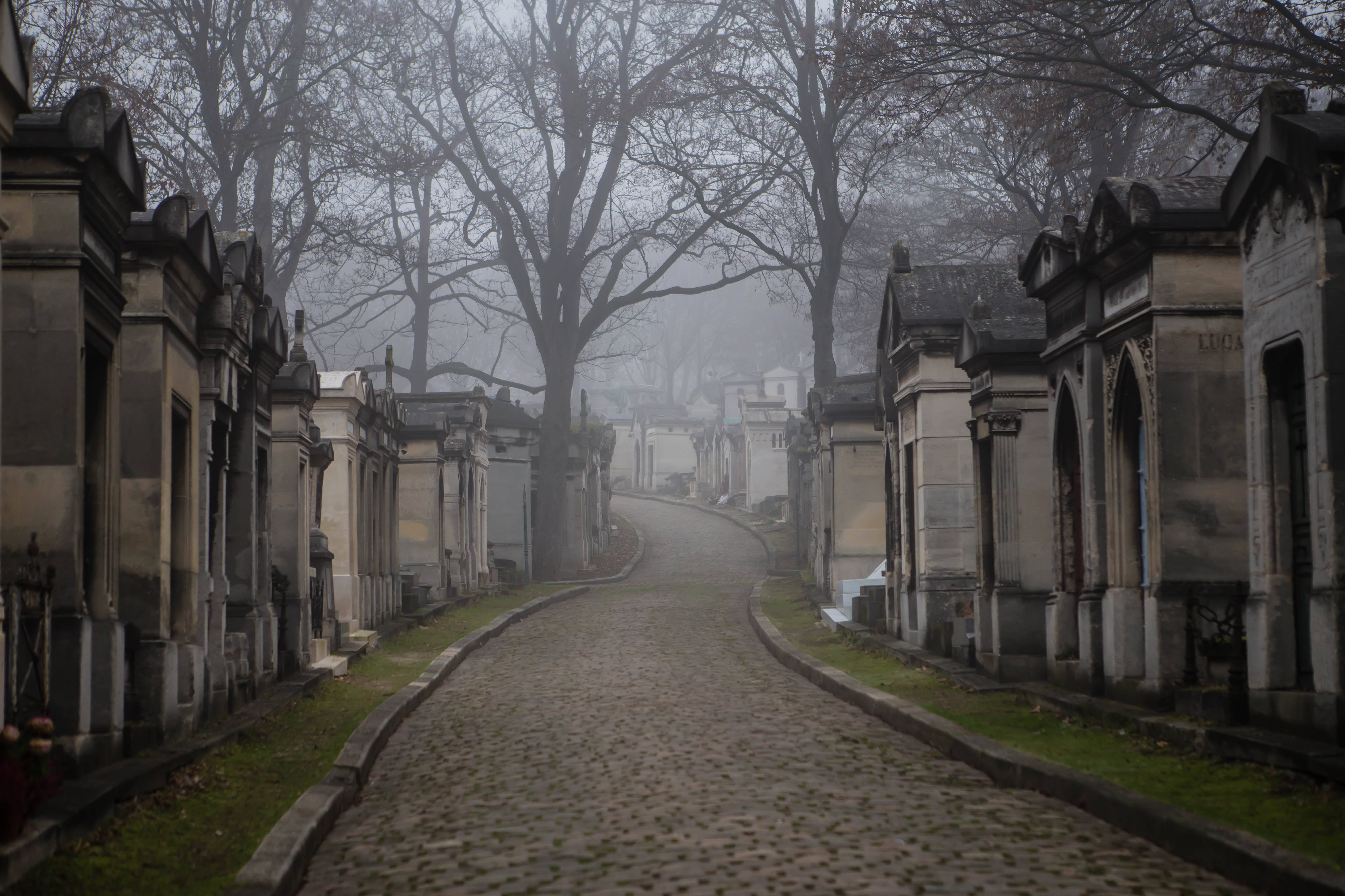 Cemetery in Paris