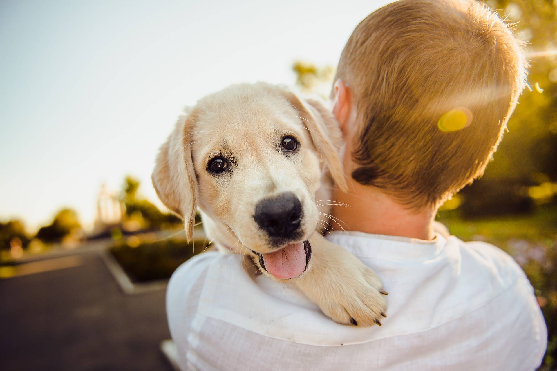 man carrying dog over shoulder