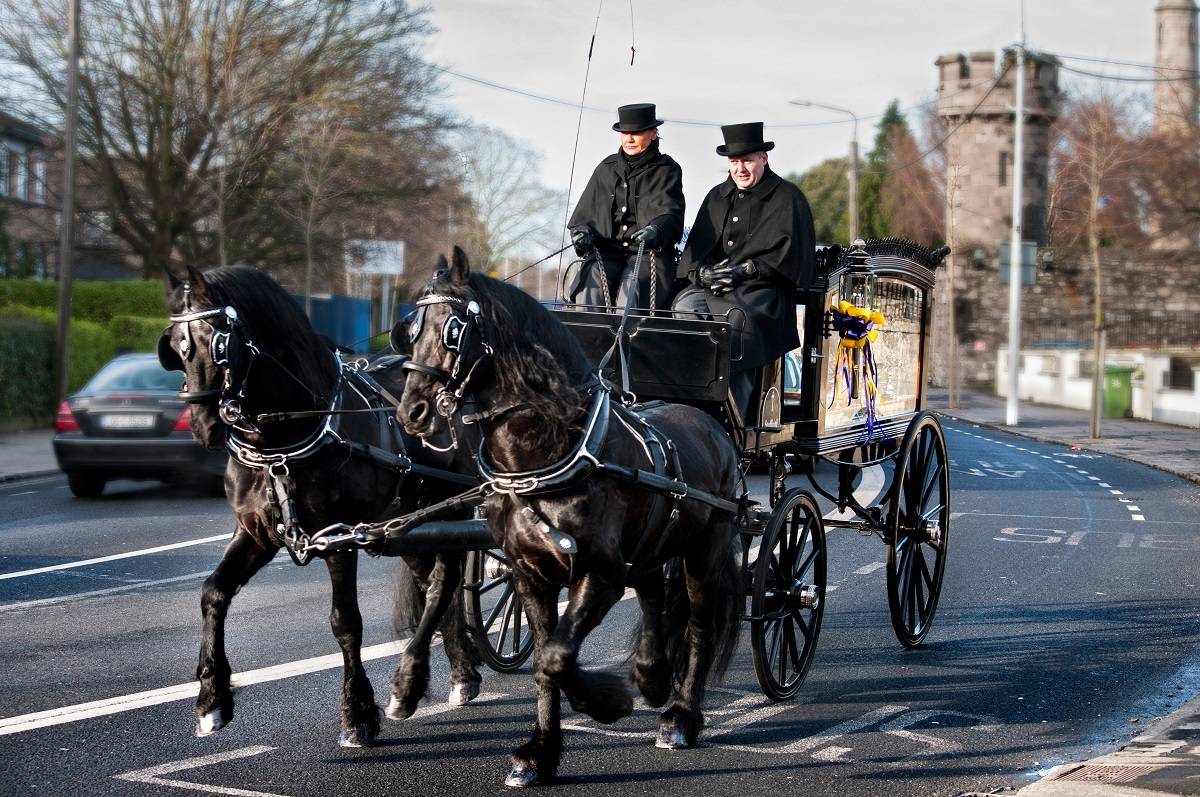 Horse drawn funeral hearse