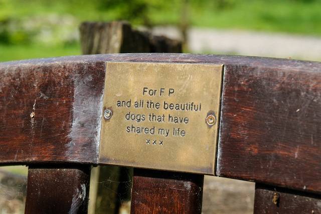 Dog memorial bench
