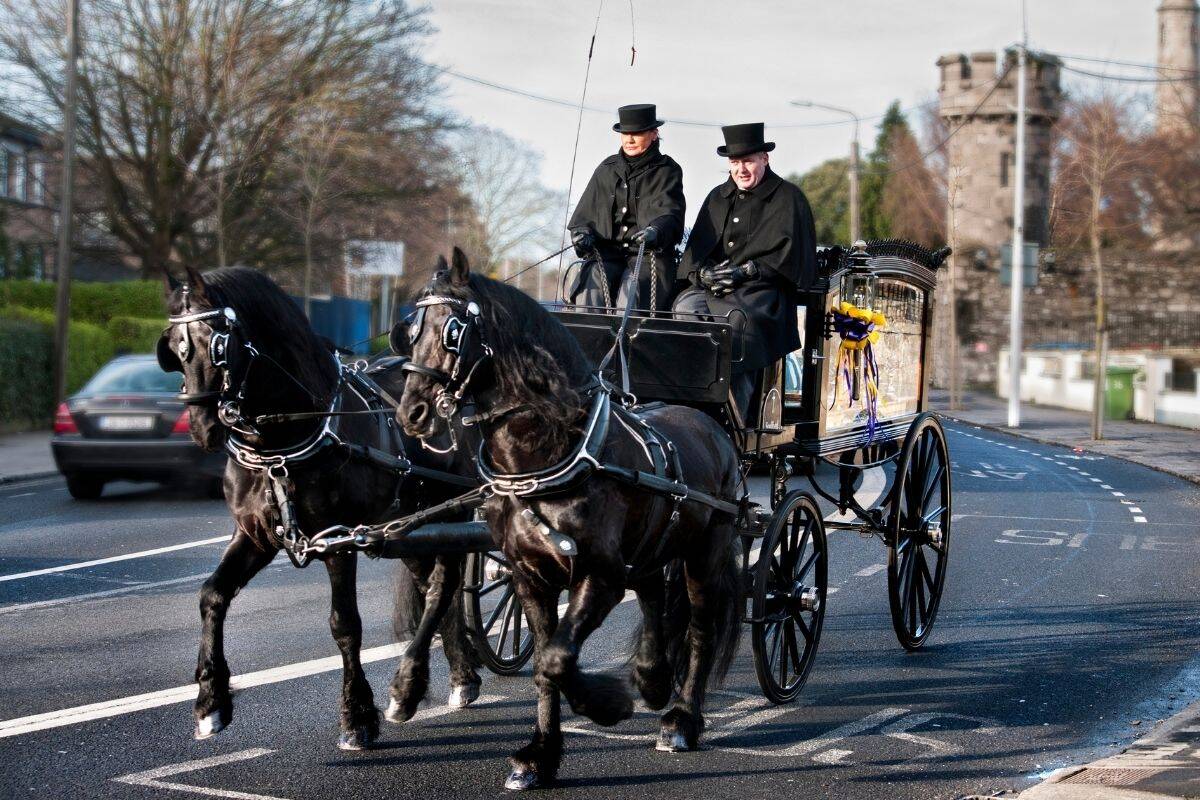 Horse and carriage