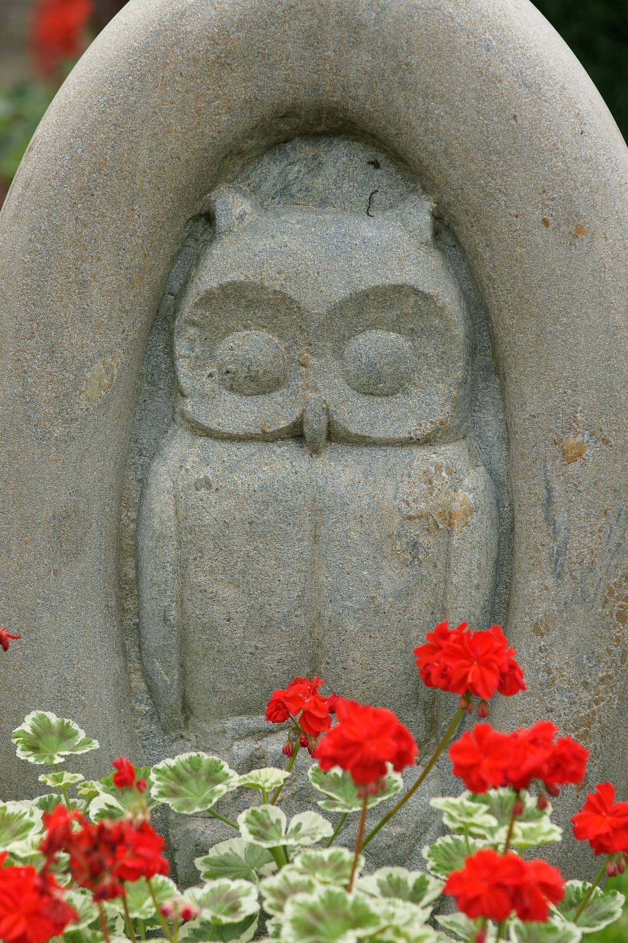 carved owl on headstone