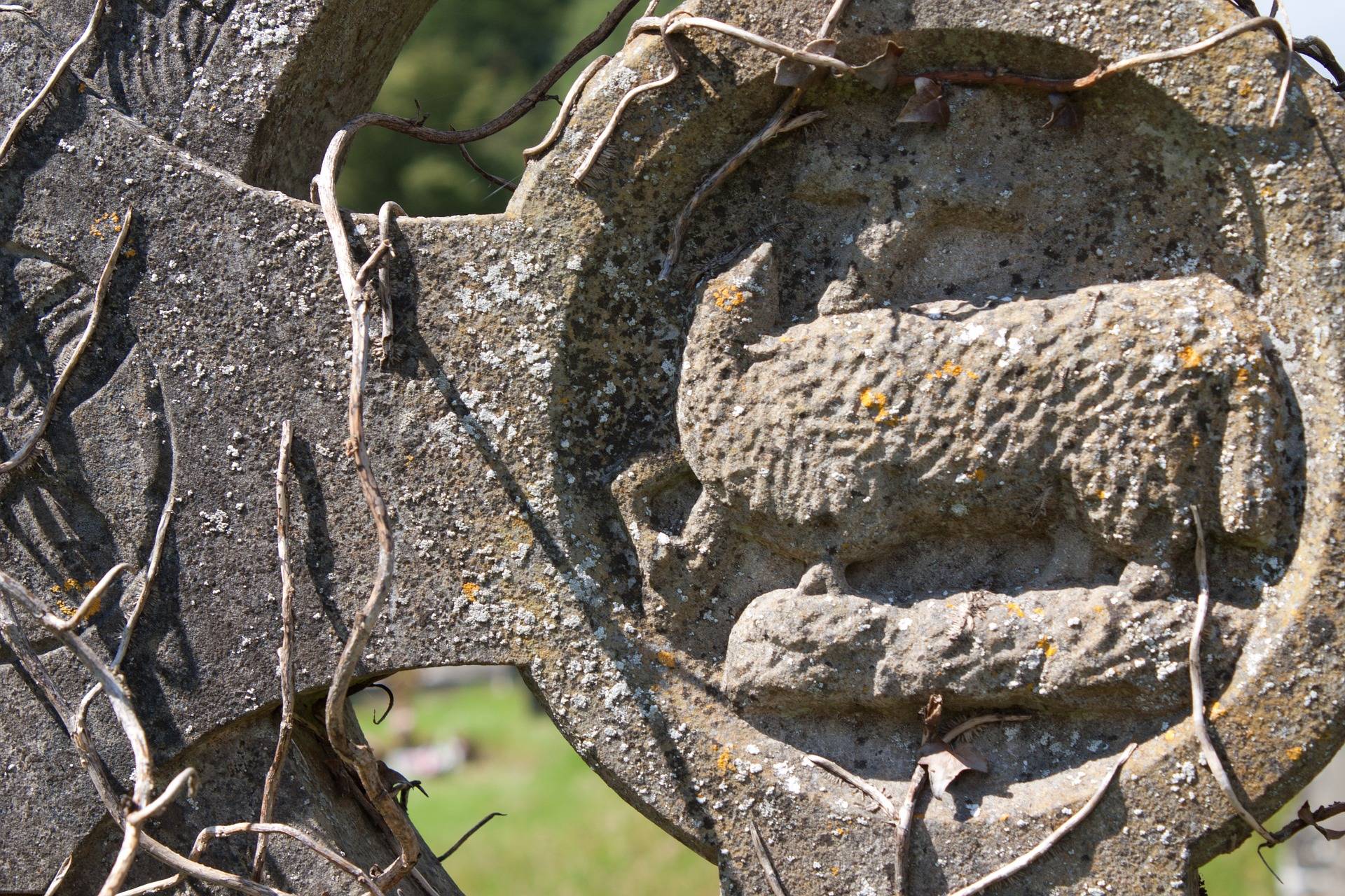 carved lamb on headstone