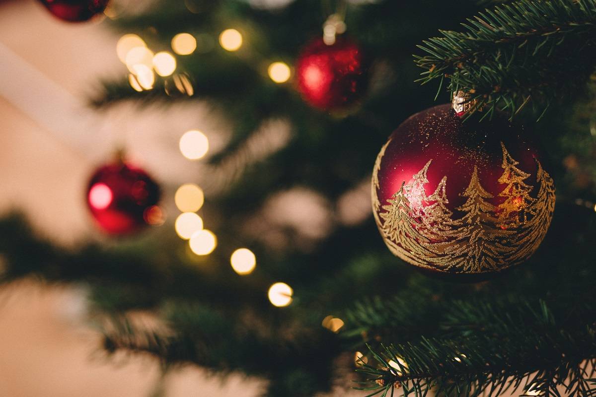 Christmas decoration on tree