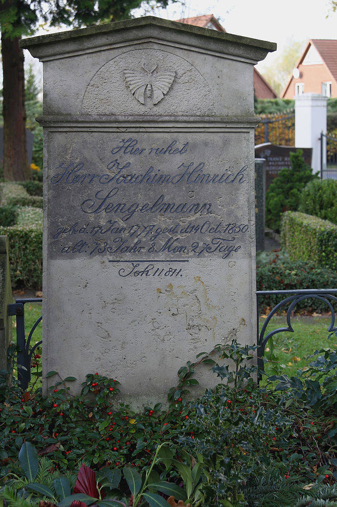 carved butterfly on headstone