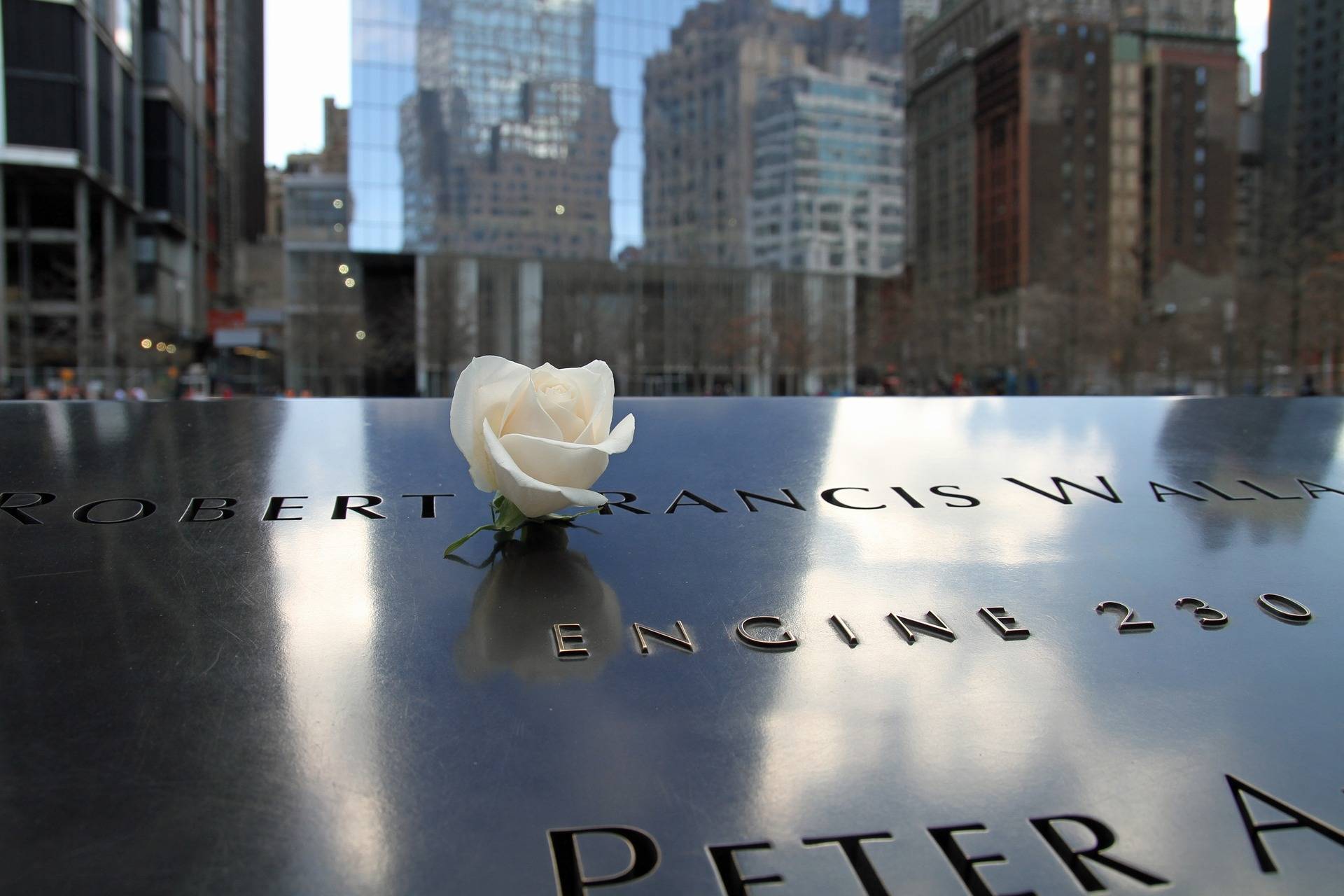 Ground Zero