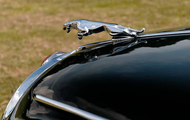 Jaguar badge