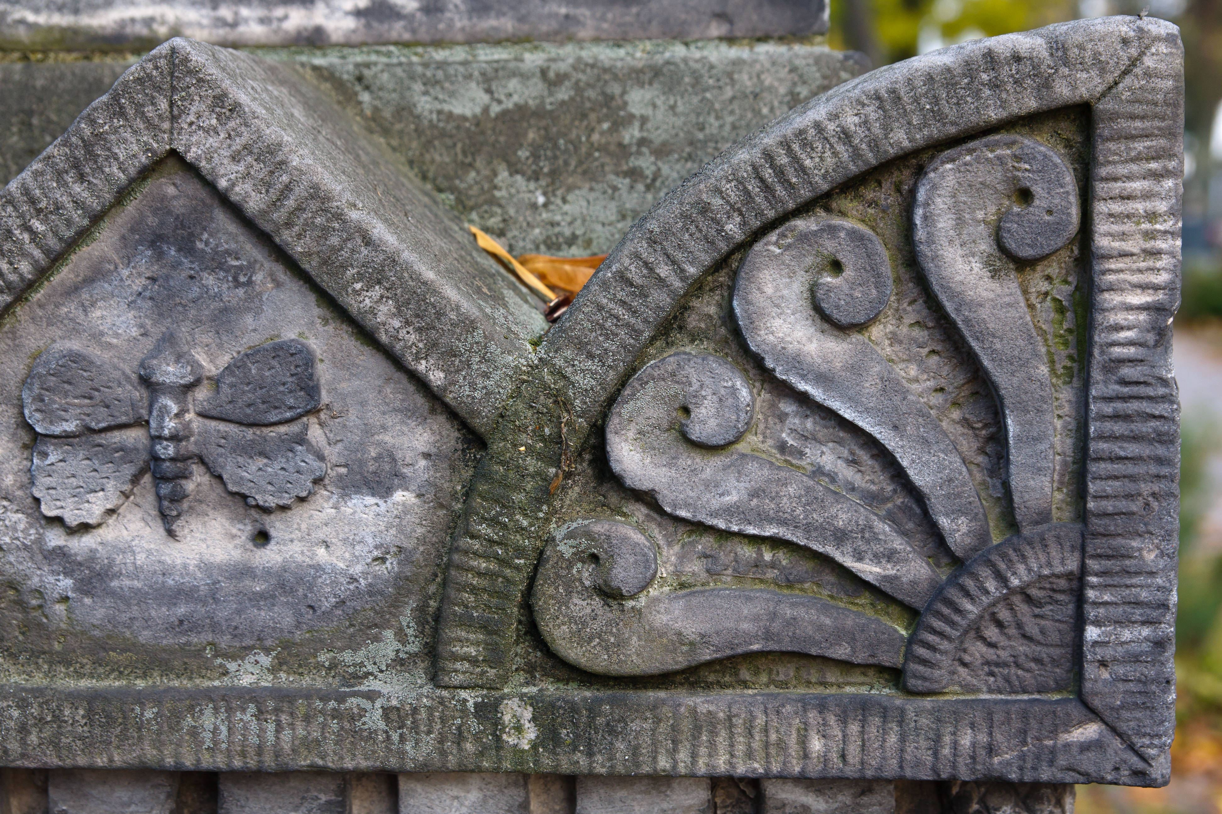 carved insect on headstone