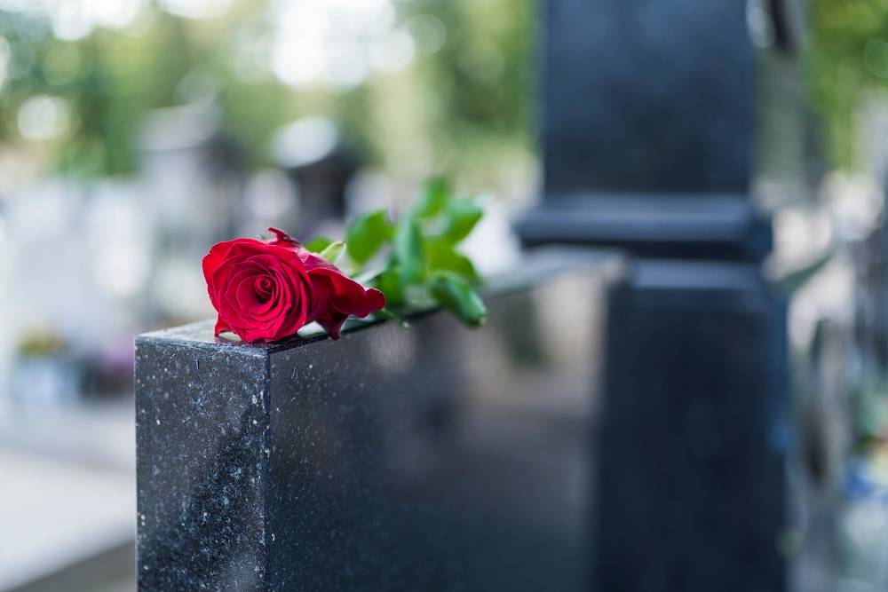 Red rose on a grave