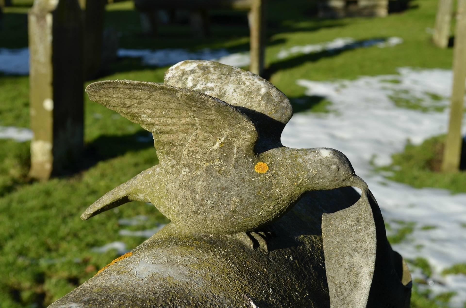 carved dove on headstone