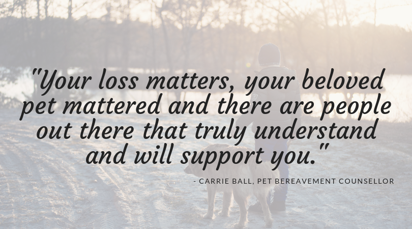 carrie ball pet bereavement counsellor