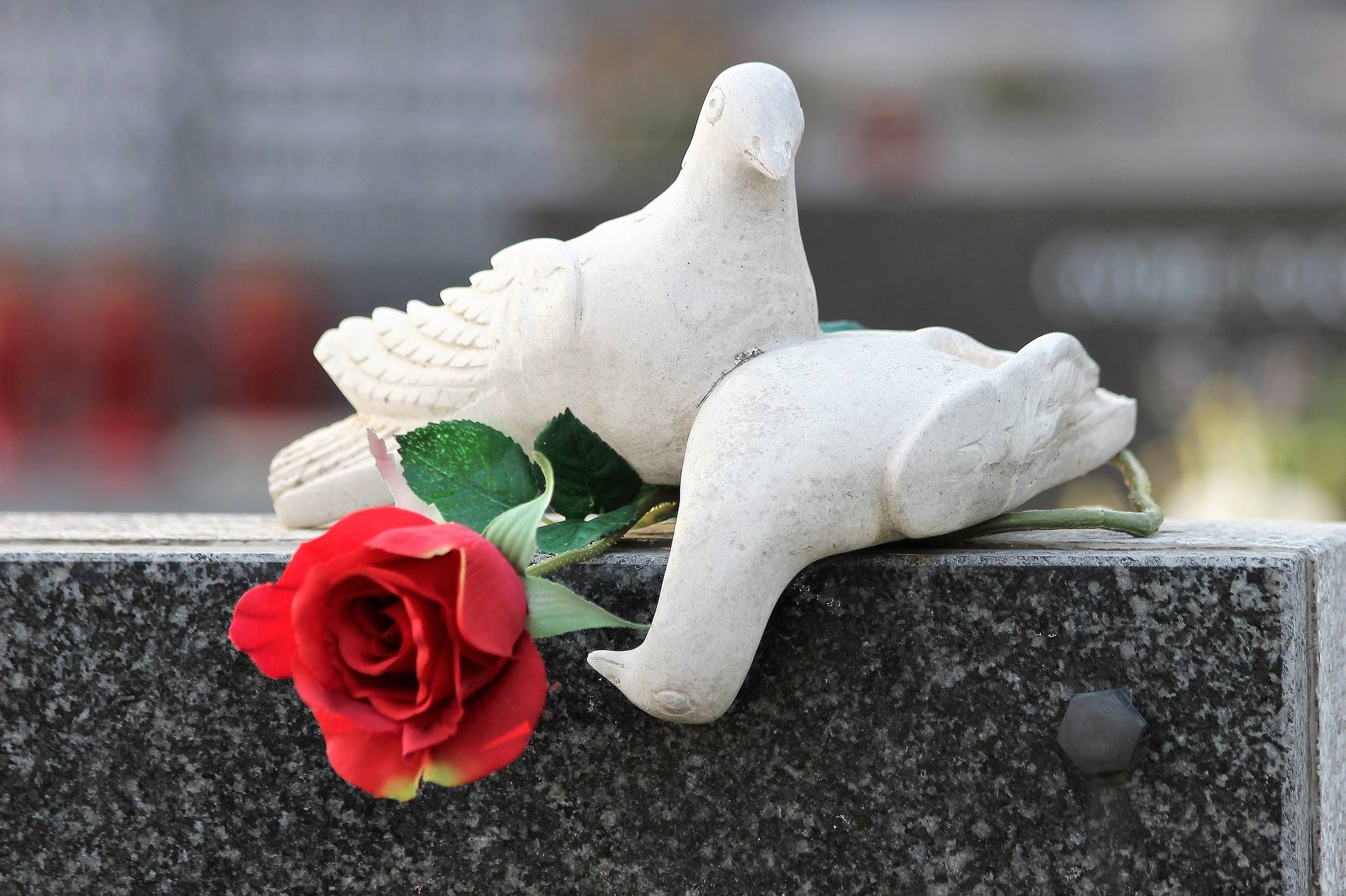 How to clean a headstone AK Lander